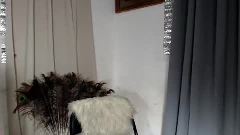 barbie online show from February 8, 2026, 1:58 pm