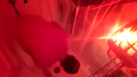 1knightluver69 online show from March 31, 2026, 8:59 am