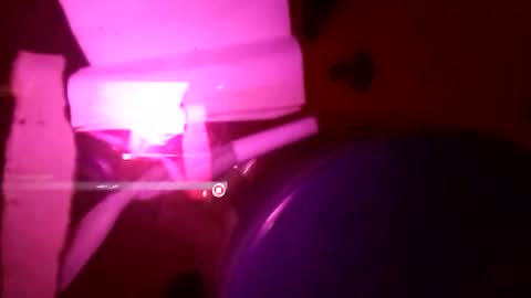 1st___ online show from November 25, 2025, 8:58 am