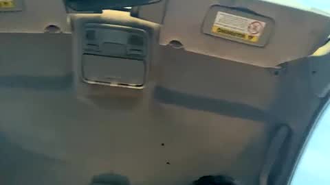 Snapshot of 23havefunwitme chatting on February 17, 2025, 12:43 am 23havefunwitme online show from February 17, 2025, 12:43 am