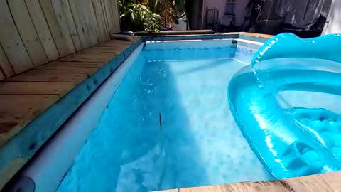 Snapshot of 247nude1987 chatting on November 9, 2025, 11:47 pm 247nude1987 online show from November 9, 2025, 11:47 pm