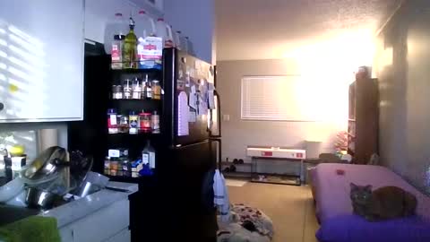 Snapshot of 2gorls1link chatting on December 31, 2024, 3:31 pm 2girls1link online show from December 31, 2024, 3:31 pm