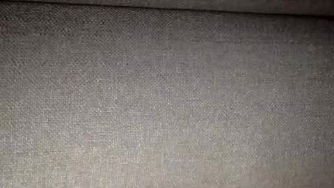 30nick online show from February 9, 2026, 3:54 am