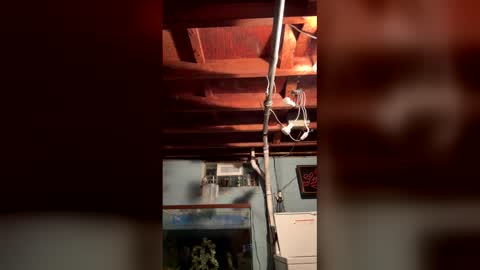 33adidas online show from March 26, 2026, 8:20 am