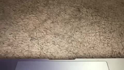 3dging_sub online show from March 13, 2026, 3:24 am