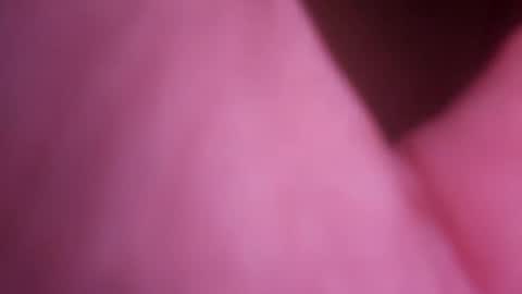 415cs online show from July 31, 2026, 6:51 pm
