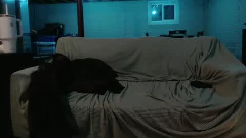 420bunnie online show from February 26, 2025, 7:20 am