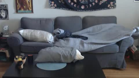 Snapshot of 420randomguy chatting on March 13, 2026, 1:07 pm Anomander Rake online show from March 13, 2026, 1:07 pm