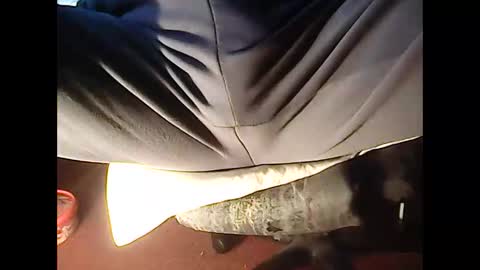 Snapshot of 4guy200 chatting on November 23, 2025, 12:10 am 4guy200 online show from November 23, 2025, 12:10 am