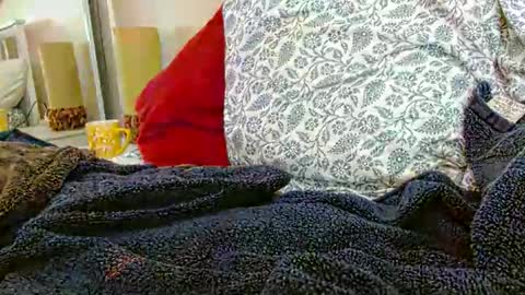 Daddy online show from January 31, 2026, 7:11 pm