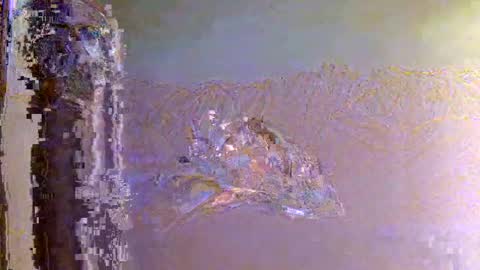 Snapshot of 60zeus60 chatting on November 1, 2025, 6:15 am Zeus online show from November 1, 2025, 6:15 am