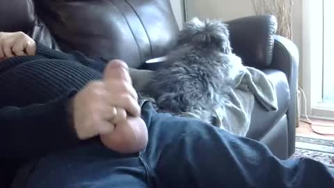 Snapshot of 66bear chatting on March 2, 2025, 10:05 pm 66bear online show from March 2, 2025, 10:05 pm