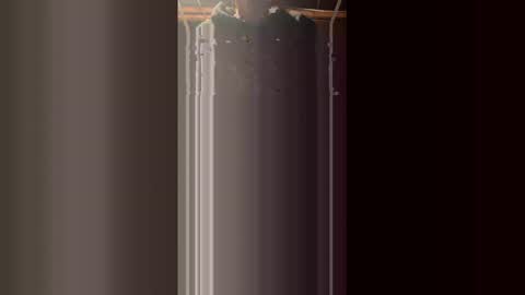 69bidam online show from January 18, 2026, 12:20 pm