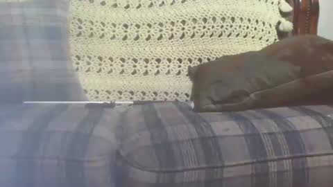 Snapshot of 69sextoyboy69 chatting on January 25, 2025, 3:41 pm 69sextoyboy69 online show from January 25, 2025, 3:41 pm