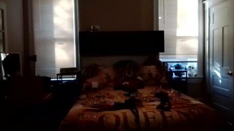 KittyPoo107 online show from June 3, 2026, 11:57 am