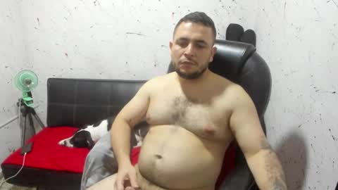     ----       online show from February 14, 2026, 4:42 am