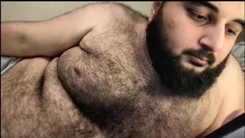 Snapshot of _alan_bear_ chatting on October 3, 2025, 3:42 pm Alan online show from October 3, 2025, 3:42 pm