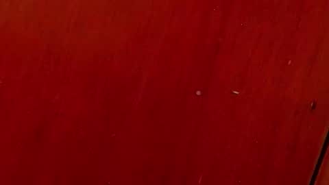 Snapshot of _aniisha_ chatting on October 4, 2025, 7:01 pm Any online show from October 4, 2025, 7:01 pm