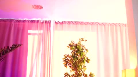 Snapshot of _arielle chatting on February 14, 2025, 12:25 pm Arielle online show from February 14, 2025, 12:25 pm