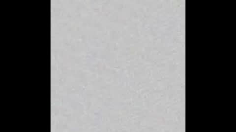 Brenda online show from January 25, 2025, 11:44 am