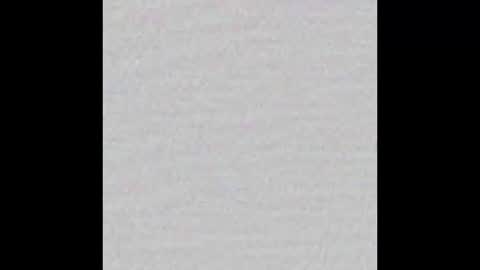 Brenda online show from February 3, 2025, 11:31 am