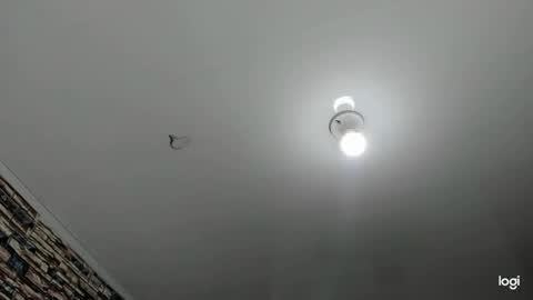 Snapshot of _casandra11 chatting on January 23, 2025, 9:39 am _casandra11 online show from January 23, 2025, 9:39 am