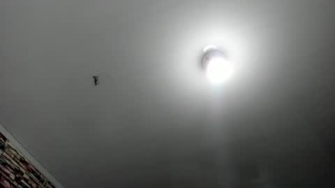 Snapshot of _casandra11 chatting on February 17, 2025, 3:36 am _casandra11 online show from February 17, 2025, 3:36 am