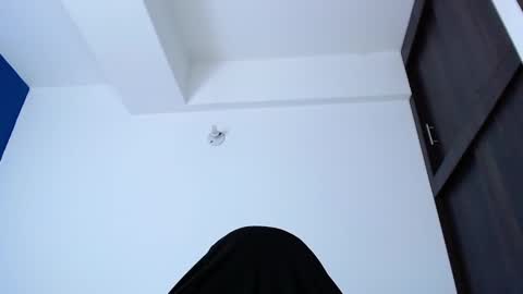 Snapshot of _davidwolf chatting on January 24, 2025, 1:56 am David online show from January 24, 2025, 1:56 am