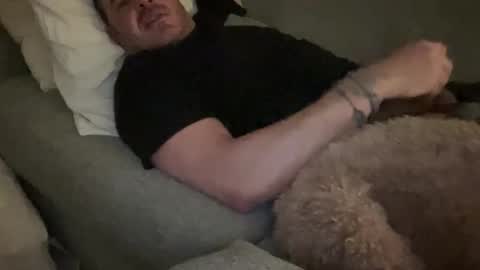 _direwolf_ online show from February 4, 2026, 3:45 am