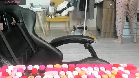 Snapshot of _feralberry__ chatting on March 2, 2026, 7:15 am Alis online show from March 2, 2026, 7:15 am