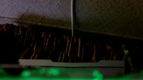 Rex online show from February 6, 2026, 2:27 am