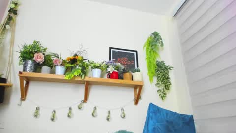 Snapshot of _ivanna11_ chatting on January 23, 2025, 11:05 pm Ivanna online show from January 23, 2025, 11:05 pm