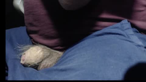 _jimmini online show from February 12, 2026, 8:59 pm