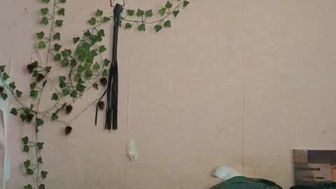 _kikiclark_ online show from February 27, 2026, 9:20 am