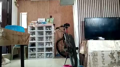 Kylie online show from September 11, 2025, 12:44 am