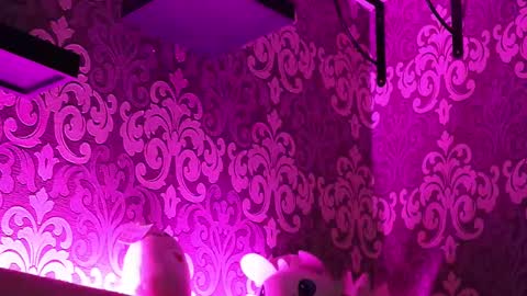 Snapshot of _made_in_hell_ chatting on February 23, 2025, 11:47 pm Stream at am in MoscowI am waiting for you very much3 online show from February 23, 2025, 11:47 pm