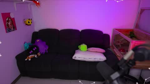 Snapshot of _miss_fortune_ chatting on February 3, 2026, 6:40 am _miss_fortune_ online show from February 3, 2026, 6:40 am