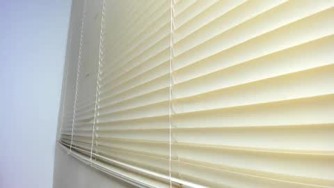 Snapshot of _molly_rosse_ chatting on November 12, 2025, 11:54 am _molly_rosse_ online show from November 12, 2025, 11:54 am