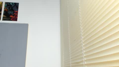 _molly_rosse_ online show from November 14, 2025, 12:15 pm