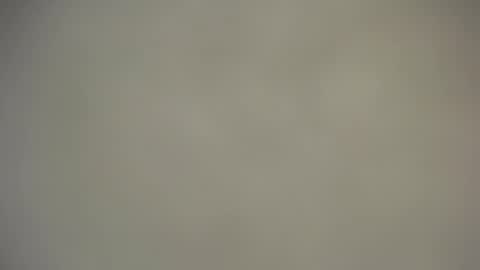 Nica online show from November 25, 2025, 9:09 am