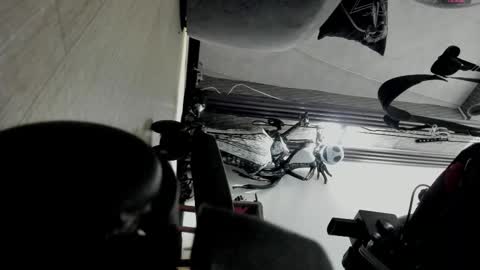 Selene online show from November 2, 2025, 4:31 pm