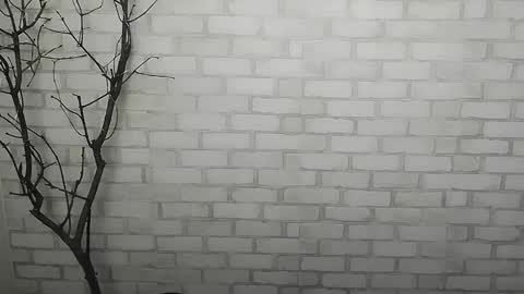 Snapshot of _snow_queen__ chatting on December 14, 2024, 1:27 pm Rachel online show from December 14, 2024, 1:27 pm