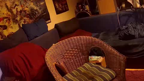 Sven online show from November 3, 2025, 5:36 pm