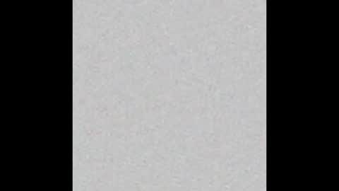 _tammarra_ online show from January 17, 2026, 12:21 pm