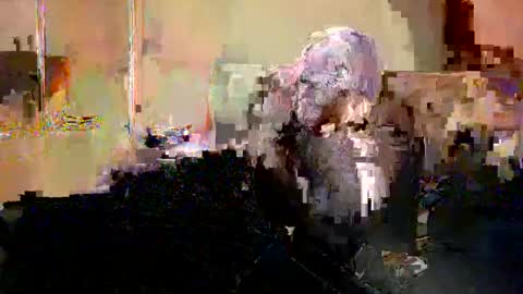 Nicole  Thomas  Dave online show from May 20, 2026, 8:59 pm