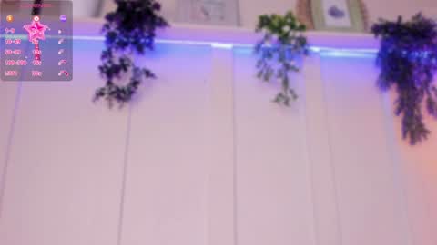 abbie online show from December 4, 2024, 11:35 pm