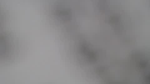 ABBY online show from February 5, 2025, 1:00 pm