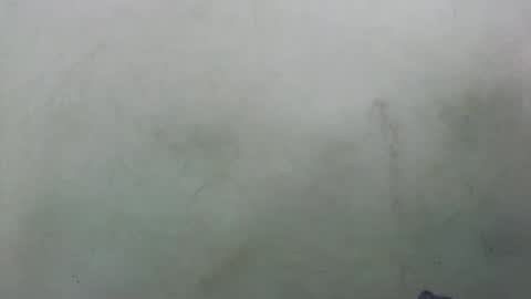 Snapshot of abella677022 chatting on February 16, 2026, 8:16 pm abella677022 online show from February 16, 2026, 8:16 pm