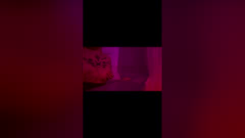 abigrace online show from April 10, 2026, 12:27 am