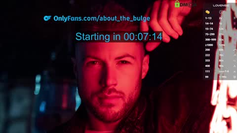 Snapshot of about_the_bulge chatting on January 5, 2025, 8:42 pm about_the_bulge online show from January 5, 2025, 8:42 pm